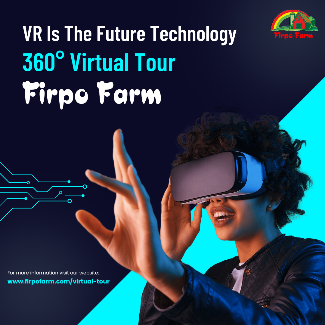 VR Tour